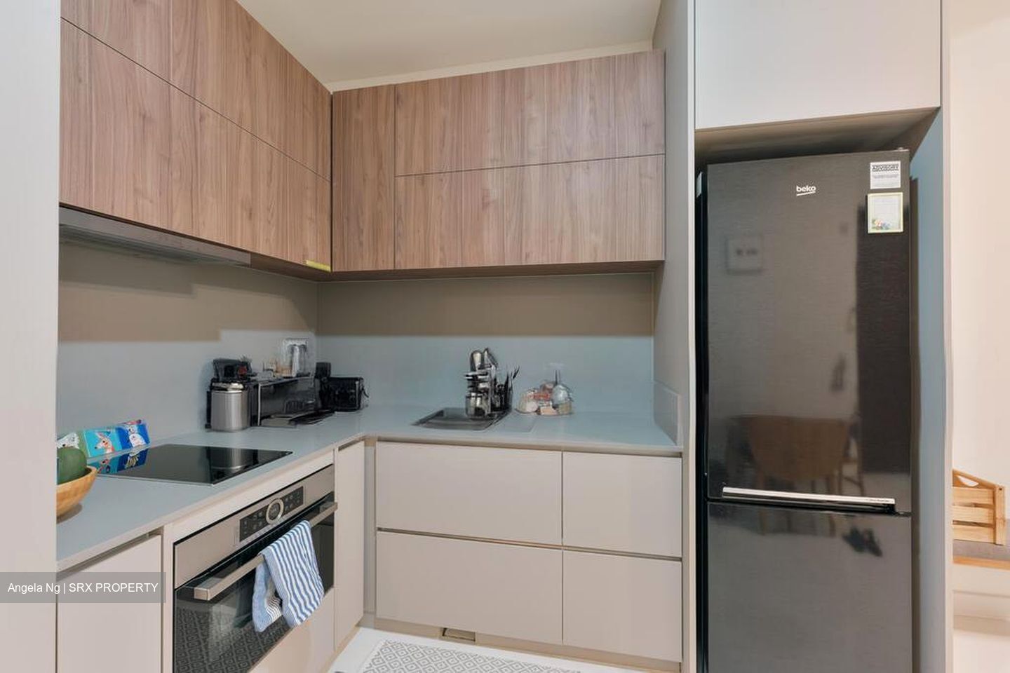 Parksuites (D10), Apartment #566274091